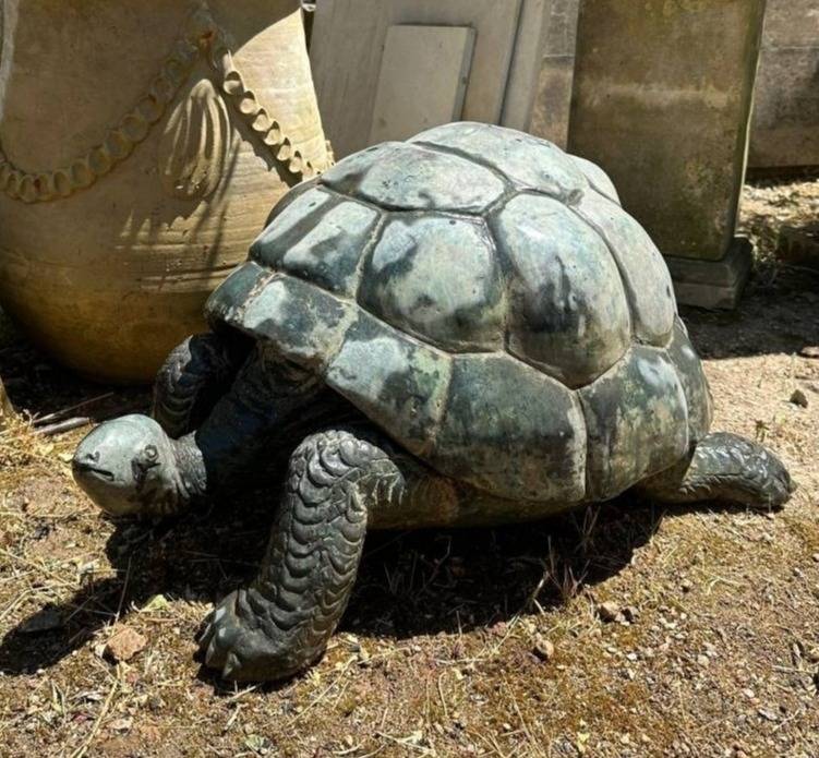 Statut tortue bronze jardin extérieur Vallauris déco animaux grand format